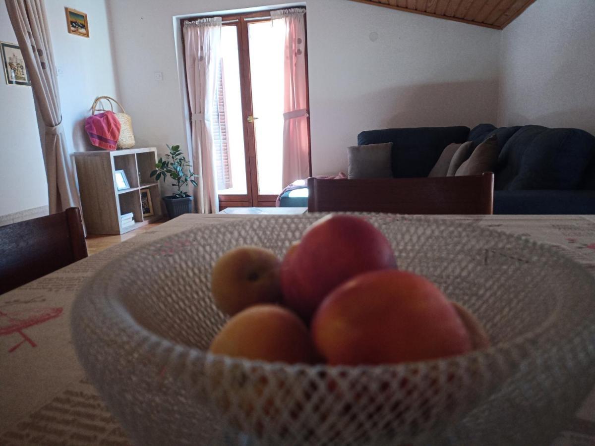Apartments Katarina 诺维·维诺多尔斯基 外观 照片