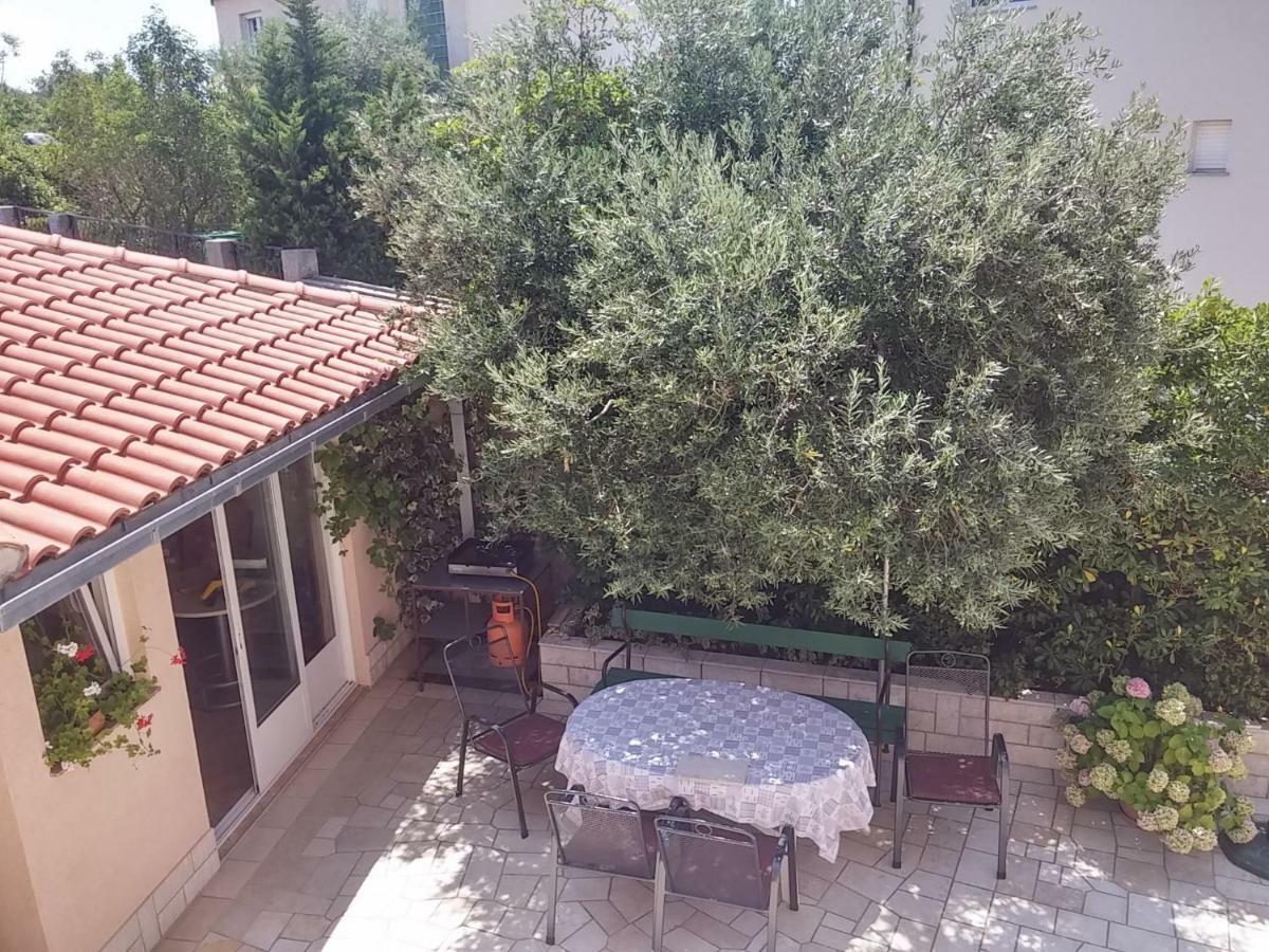 Apartments Katarina 诺维·维诺多尔斯基 外观 照片